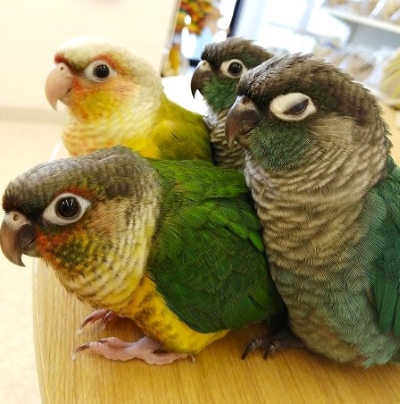 タイトル
